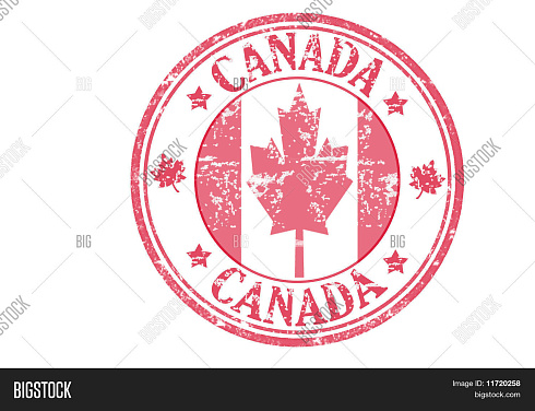 T-shirts Printed Premium Футболки м/ж КРЕМ, Канада